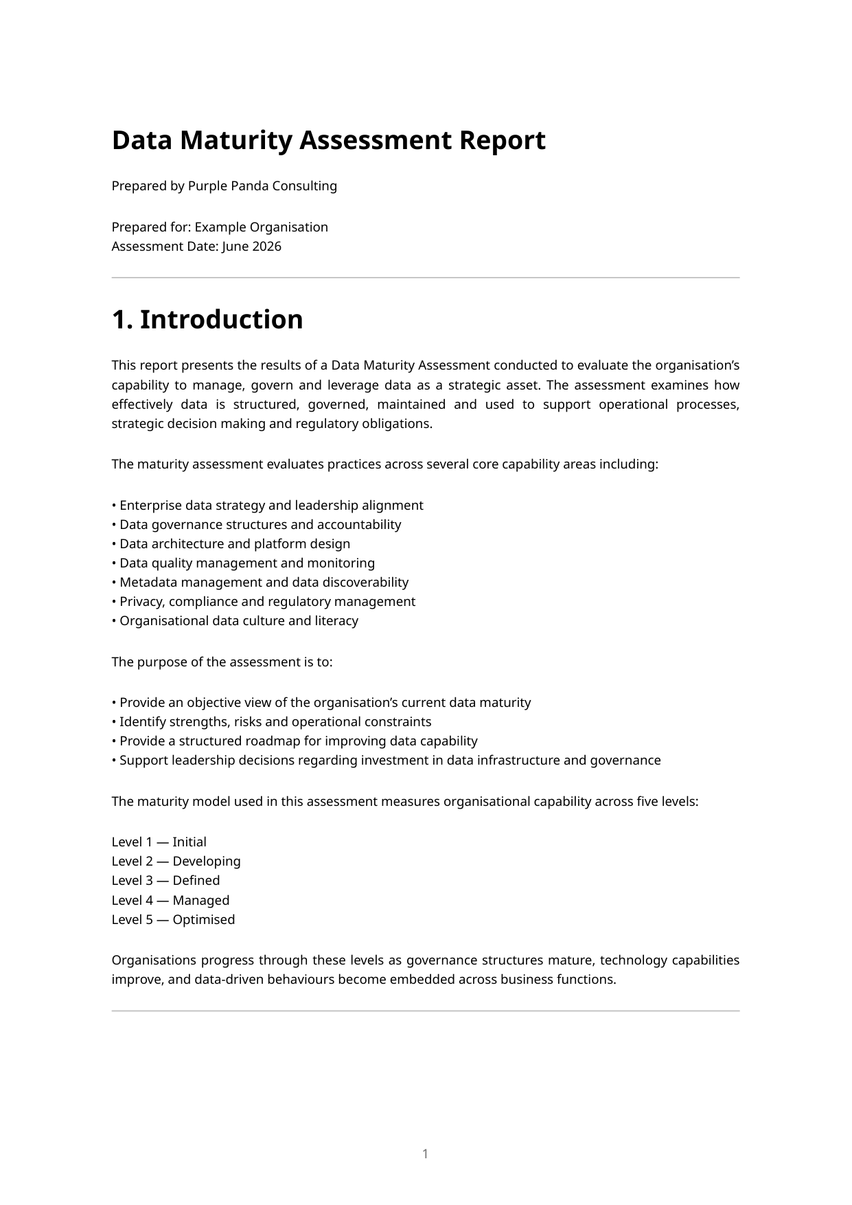 First page preview of the sample data maturity report
